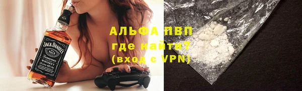 прущие грибы Балабаново