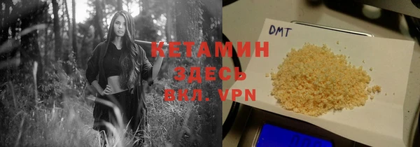 прущие грибы Балабаново