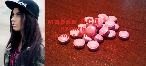 прущие грибы Балабаново