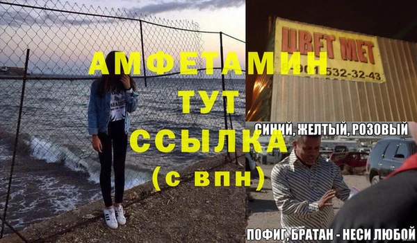прущие грибы Балабаново
