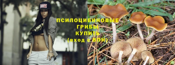 прущие грибы Балабаново